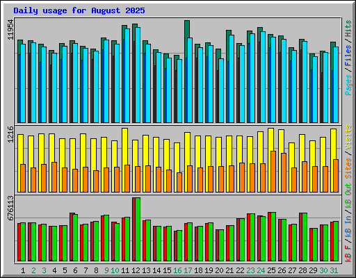 Daily usage for August 2025