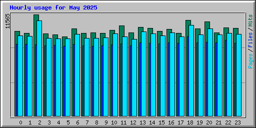 Hourly usage for May 2025