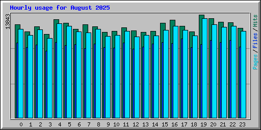 Hourly usage for August 2025